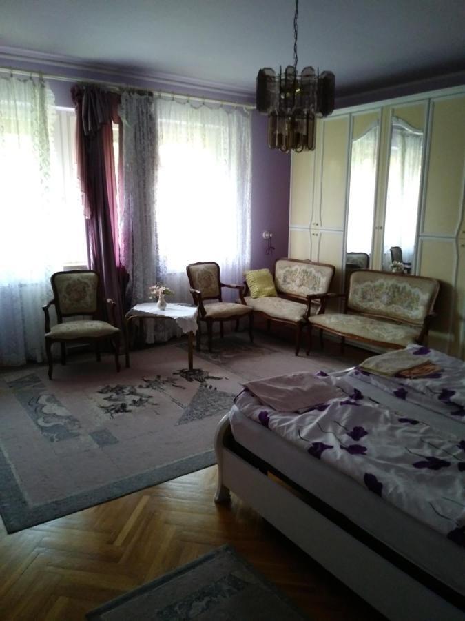 Hotel Balogh vendegház Segedín Exteriér fotografie